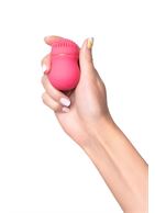 Розовый стимулятор клитора CURU-CURU BRUSH ROTER