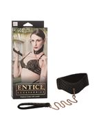 Ошейник с поводком Entice Posture Collar with Leash 