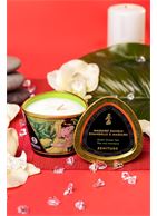 Массажная свеча Shunga Zenitude Exotic Green Tea с ароматом зелёного чая (170 мл)