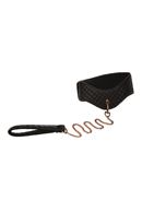 Ошейник с поводком Entice Posture Collar with Leash 