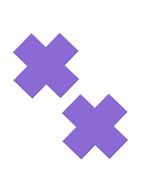 Набор для интимных удовольствий Purple Passion Kit 