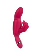 Вибратор со стимулятором клитора SASHAY - VIBRATOR DOLPHIN (17,5 см)