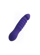 Фиолетовый вибратор LITTLE SECRET (16,5 см)