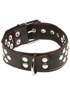 Ошейник с кольцом X-Play Collar With D-ring