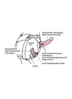 Страпон с вибрацией Woman Midi с вагинальной пробкой (22 см)