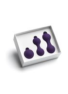 Набор из 3 фиолетовых вагинальных шариков Kegel Training Set