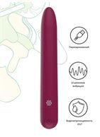 Бордовый перезаряжаемый вибратор Haze (18 см)