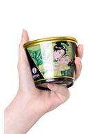 Массажная свеча Shunga Zenitude Exotic Green Tea с ароматом зелёного чая (170 мл)