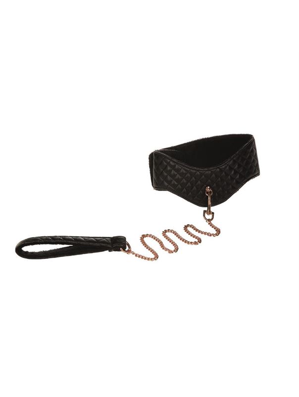 Ошейник с поводком Entice Posture Collar with Leash 