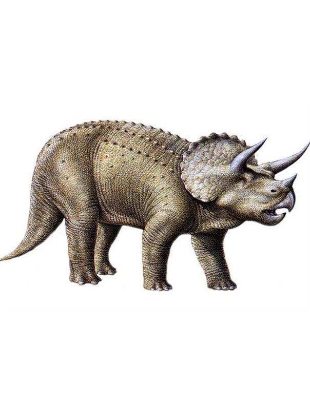 Черный фаллоимитатор Ceratops (21,5 см)