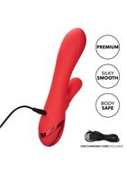 Красный вибромассажер кролик Palisades Passion