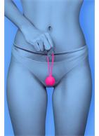 Розовый вагинальный шарик BLUSH