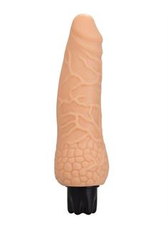 Телесный вибратор-реалистик Realistic Skin Vibrator Small (16,3 см)