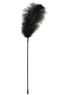 Чёрное перо на палочке (70 см)