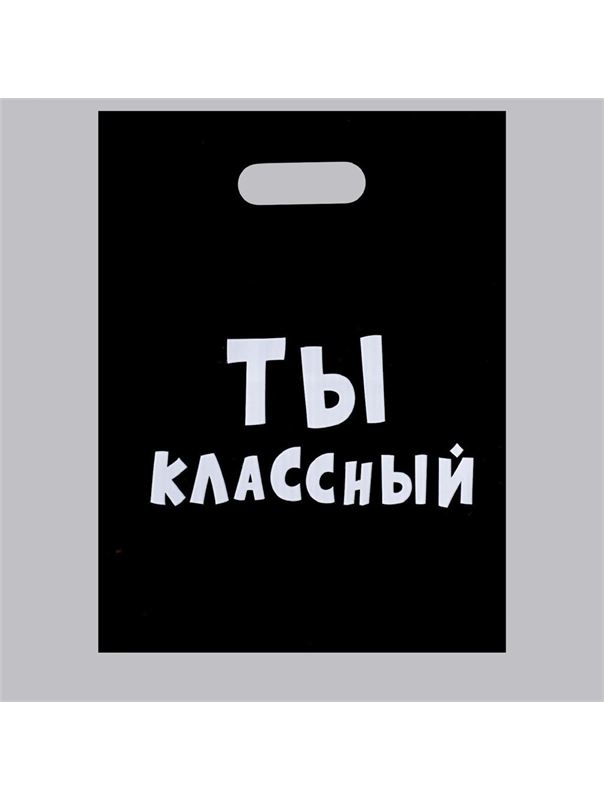 Пакет «Ты классный» (31 х 40 см)