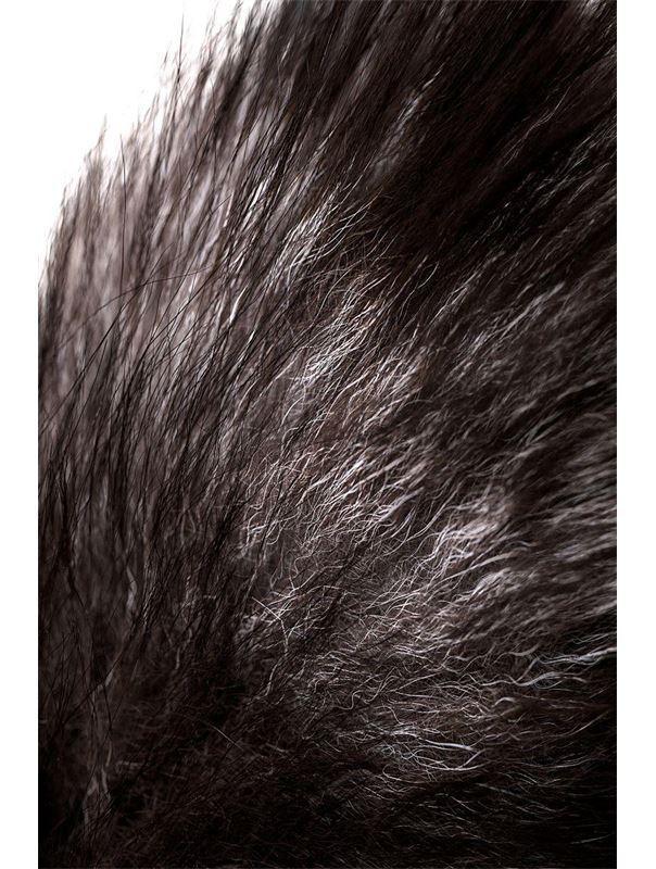 Серебристая металлическая анальная пробка с хвостом чернобурой лисы (размер S)